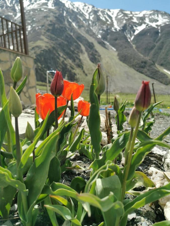 Hotel Diamond Kazbegi Bagian luar foto